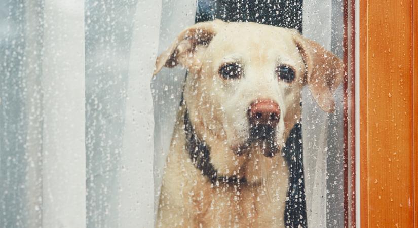 Eső, havas eső, majd napsütés