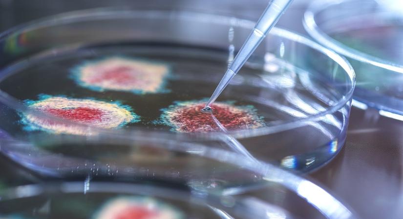 Nem véd az oltás, nincs gyógyszer: a következő sokk nem onnan jön, ahonnan várjuk