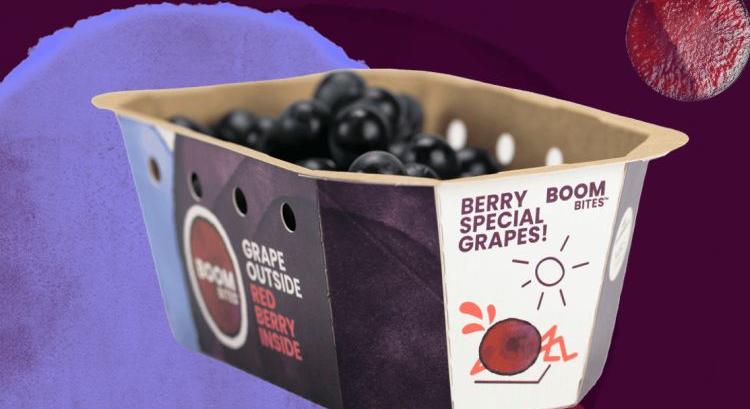 FLIA 2026: öt frisspiaci innováció, amire figyelni kell