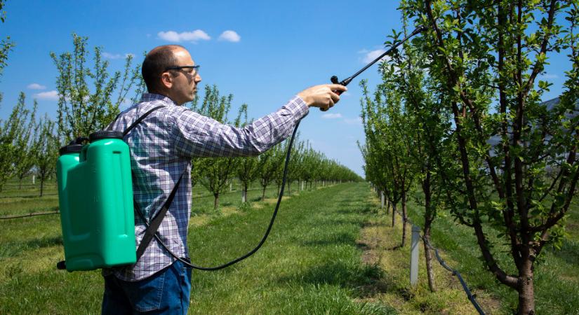 Kert: hamarosan itt a lemosó permetezés ideje, mutatjuk, hogyan csinálja