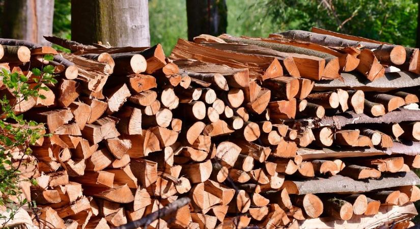 Legális forrásból, felelősen: mire figyeljünk tűzifavásárláskor?
