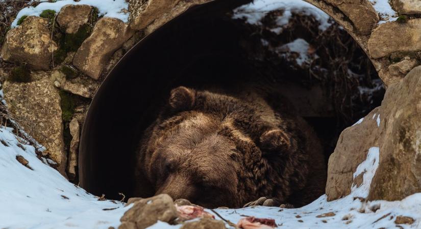 Felhős, de enyhe lesz a vasárnapi időjárás