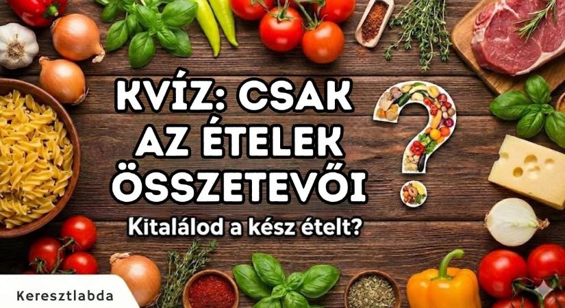 Gasztronómia kvíz: Nyolc recept, ahol csak az igazi konyhatündérek tudják a választ