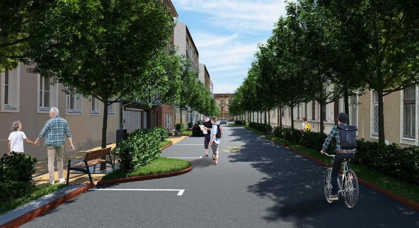 37 invazív fa helyére 45 virágos kőrist és 2 hársfát ültetnek Szeged egyik belvárosi utcájában