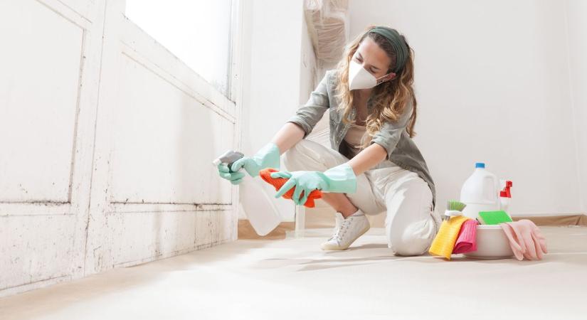 Ha ezt az apró rovart látod a fürdőben, nagy eséllyel már penész van a lakásban!