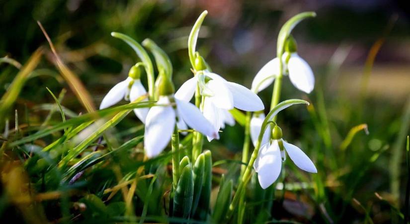 Fordulat jön az időjárásban – Ez vár ránk Tolna vármegyében