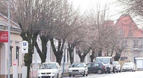 Átfogó dokumentum segíti a természetvédelmet Keszthelyen (tvkeszthely.hu)