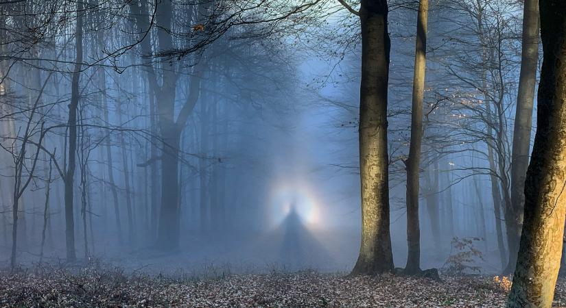 Tóth Ferenc: Ung-vidéki vad históriák: Bűbájosok, varázslók, jósnők, vajákosok