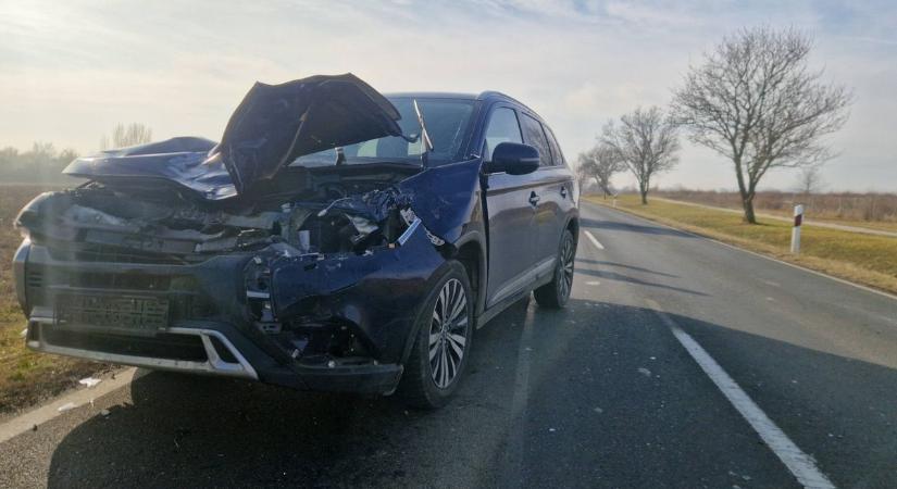 Helyszíni fotók a 71-es úton történt vadgázolásos balesetről