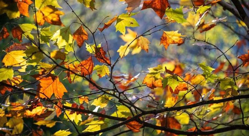 Eső, helyenként havazás is előfordulhat az országban! Mutatjuk, mi várható Zalában!