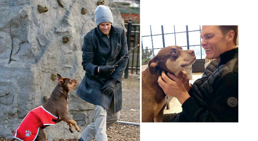 Klónozott kedvencek – A hírességek új mániája