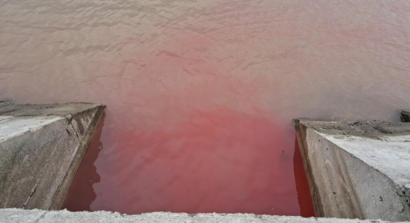 Mi folyik a Dunába?