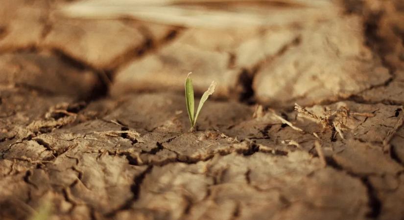Nagy István bejelentette: jelentős támogatást kapnak a fagykárosultak
