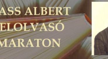 „Együtt a versek útján” – XIX. Wass Albert felolvasó maraton Győrben!