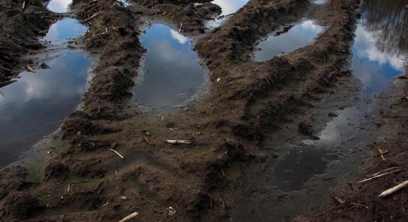 Agrometeorológia: folytatódik a csapadékos idő, töltődnek a talajok