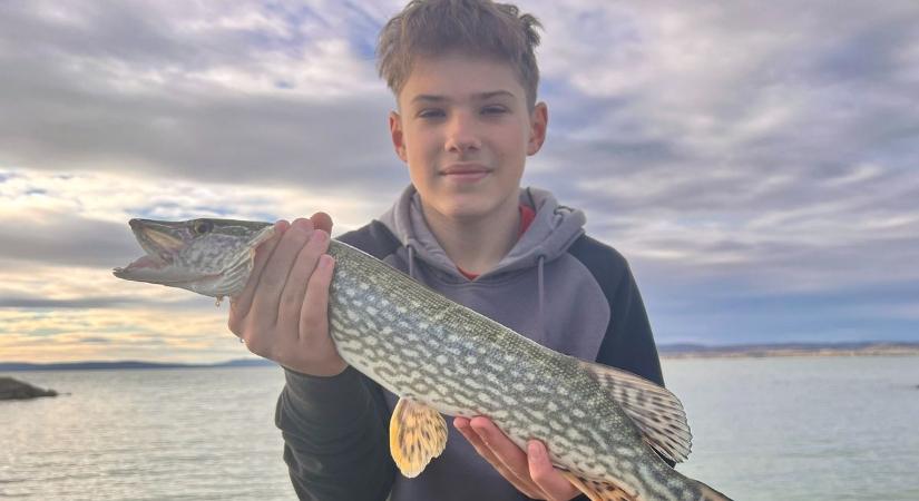 Vízparti csendrendelet: szigorú tilalom védi a Balaton ragadozóit