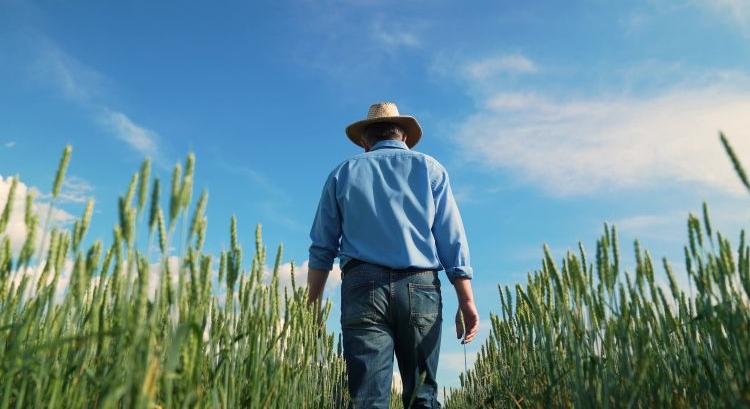 Gyorsabb kifizetés jöhet a Bászna-ügy károsultjainak