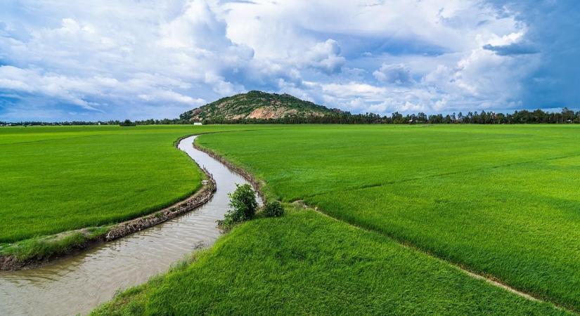 A jövedelmezőség múlhat ezen: Hogyan alkalmazkodhat a mezőgazdaság az aszályos időszakokhoz?