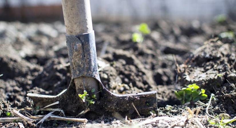 Kétmilliárdos keretből újíthatják meg ültetvényeiket a fagykárt szenvedett gazdák