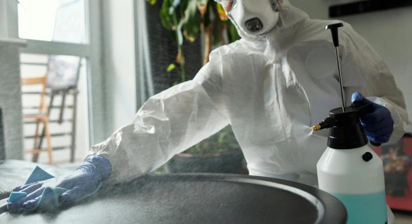 Kell pánikolni? Ezt lehet tudni a most felbukkant Nipah vírusról