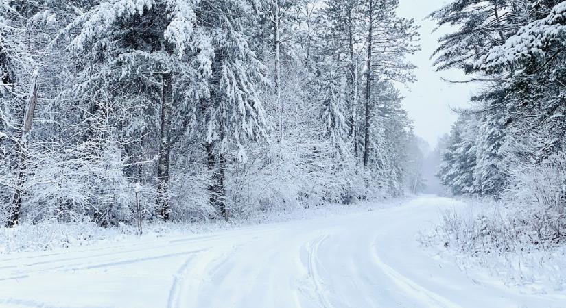 Öt gyereknek kellett elmondani, hogy édesanyjuk nincs többé
