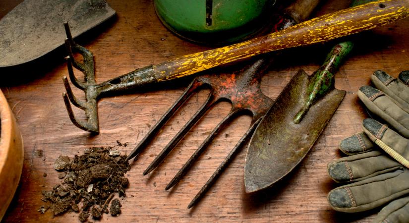 Ezek a legfontosabb februári feladatok a kertben: itt a 9 pontos lista