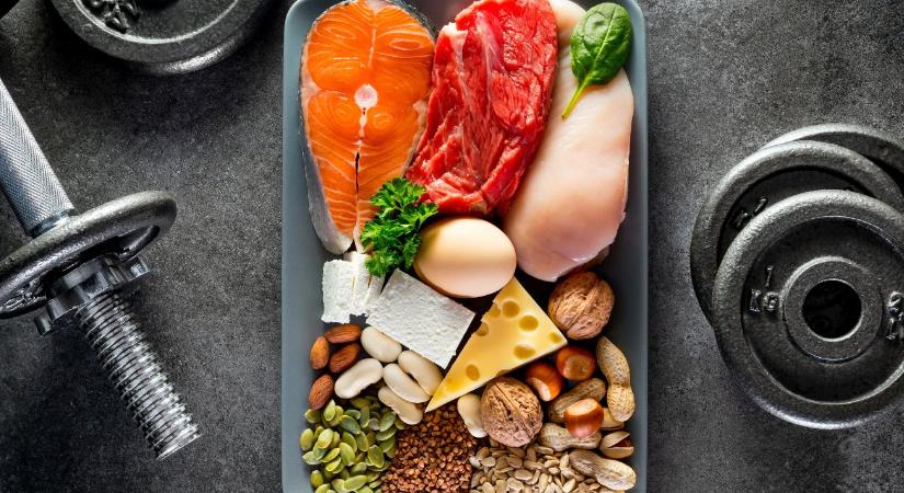 Divatdiéták kontra vesék: meddig bírja a szervezet a sok fehérjét?