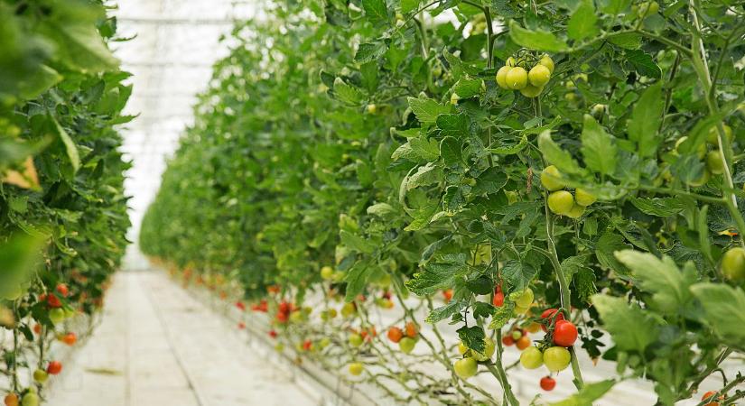 Kár lenne lemaradni: Április 23-ig pályázhatók az EU mezőgazdasági termék promóciós forrásai