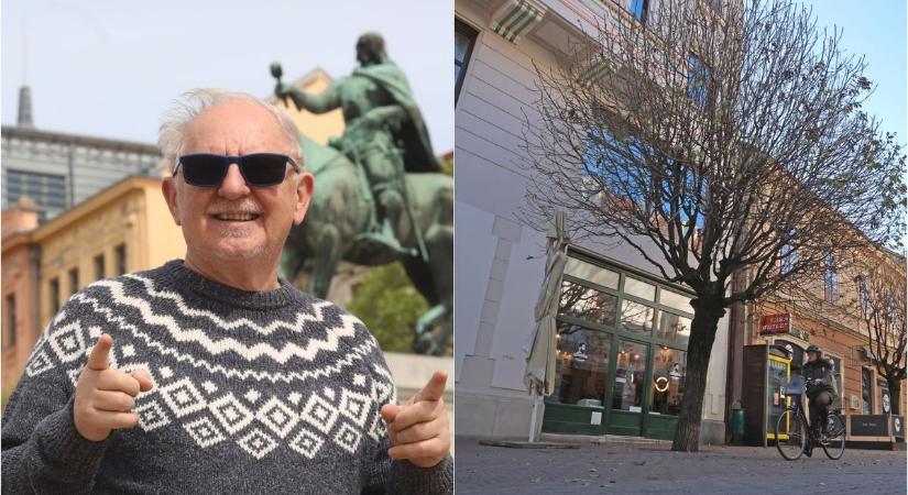 Tavasszal új lendületet kap a Király utcai Fa Örökbefogadási Program