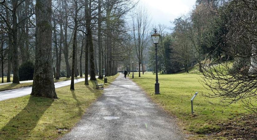 Stresszspirálban a városi növények