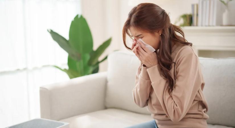 Egyetlen rossz mozdulat, és kész a baj – Ezért nagyon veszélyes visszatartani a tüsszentést