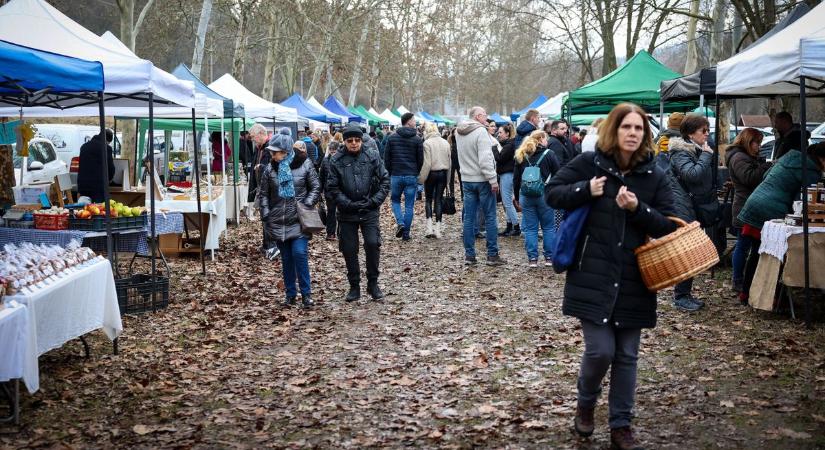 Kosarakkal a piacra – kik járnak és mit keresnek a Völgy piacon? (galéria)