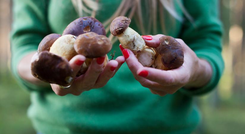 Ezzel vannak tele a magyar talajok is: a legtöbben nem is sejtik