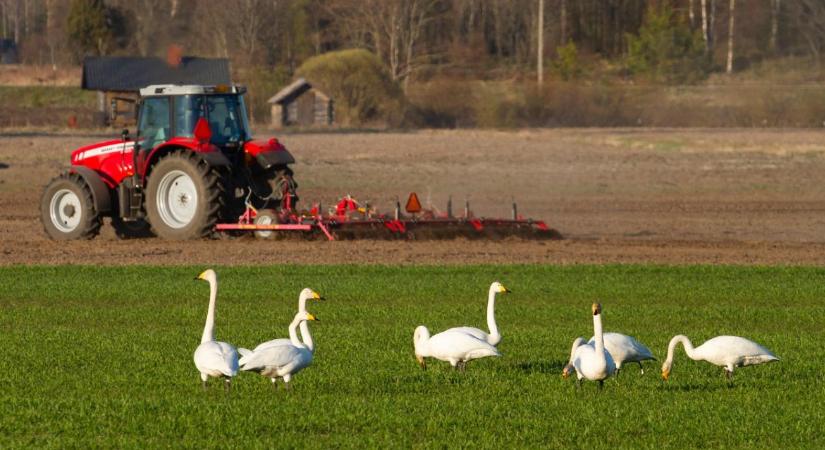 Időjárás: Folytatódik az enyhülés?  VIDEÓ