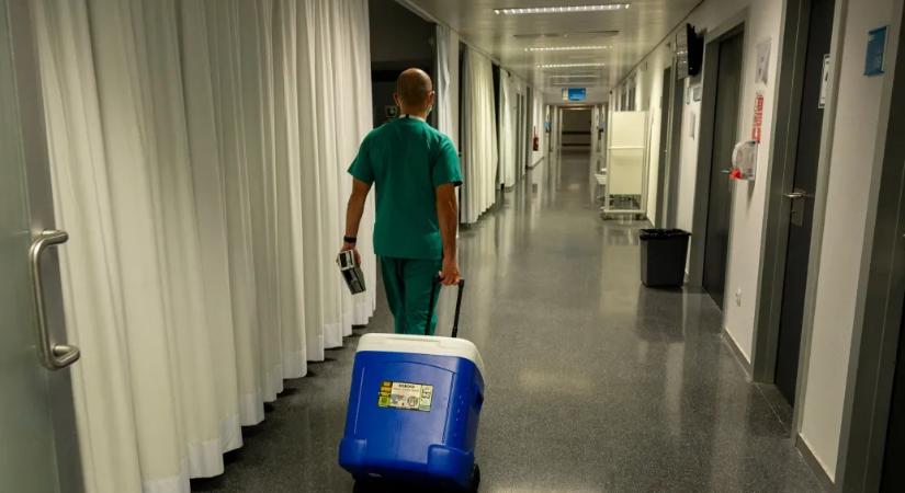 Súlyos hiba: rosszul hűtött szív miatt hiúsult meg egy kétéves nápolyi kisfiú szívátültetése