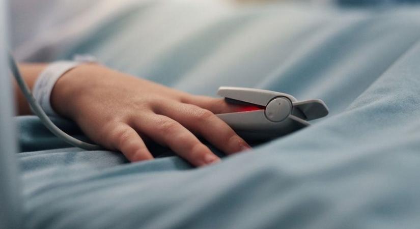 Súlyos hiba: rosszul hűtött donorszív miatt maradt el egy kétéves kisfiú műtétje