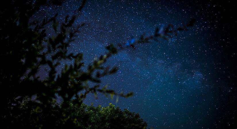 Cseresznyemaggal lőni a csillagokra – Lackfi János szomorú története Edináról és a csodakabinról