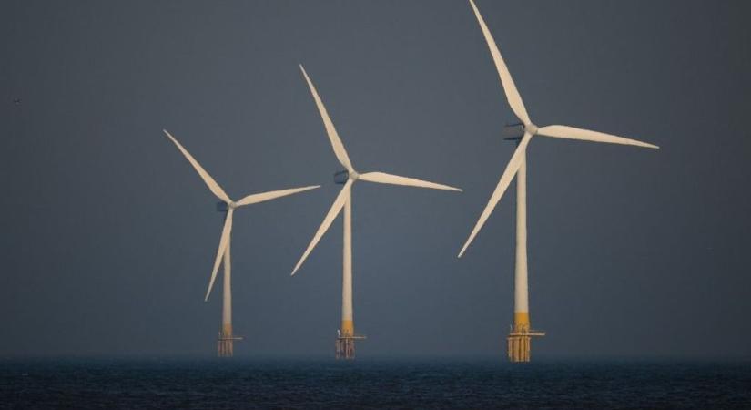 Nem kell a zöldenergia, mert drága