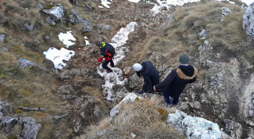 Medve miatt került veszélybe két magyar turista, riasztották a mentőket