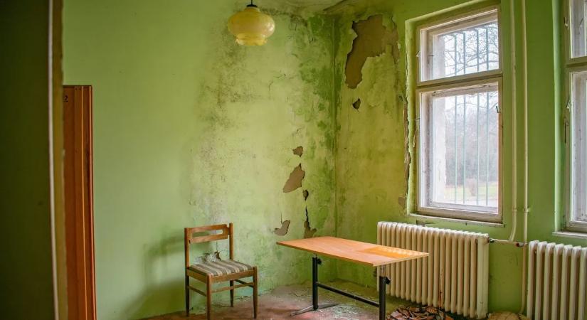 Rejtély a munkásszállón: mindent hátrahagyva tűntek el a lakók - Galéria!