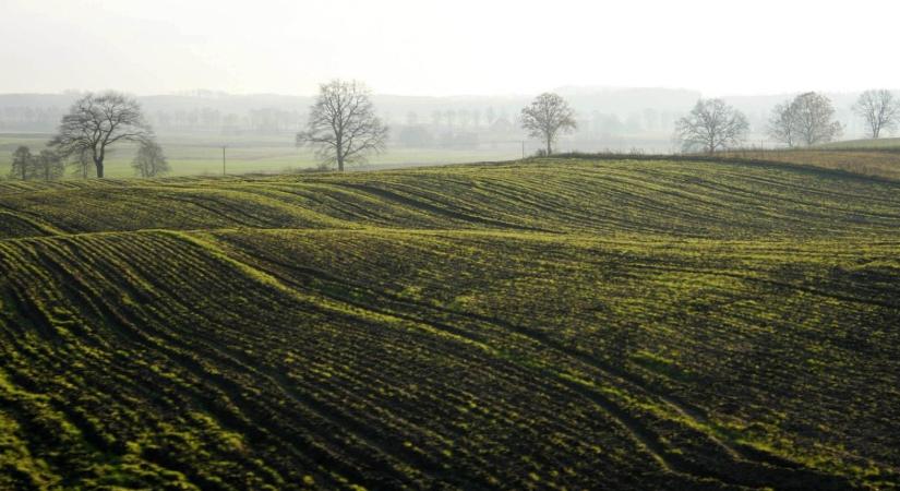 Talaj pH mérés otthon: gyors módszerek  mikor kell labor?