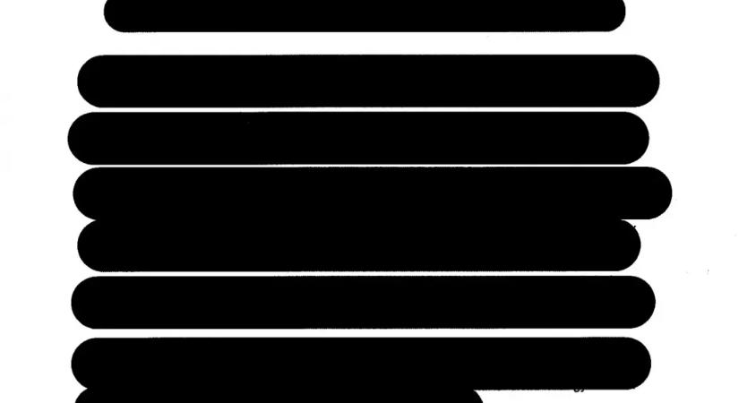 MNB-ügy: Fontos pert vesztett el első fokon a kecskeméti egyetem alapítványa