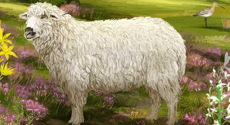 Az erdő új arca a lápvidéken - elképesztően addiktív lett a Dartmoor