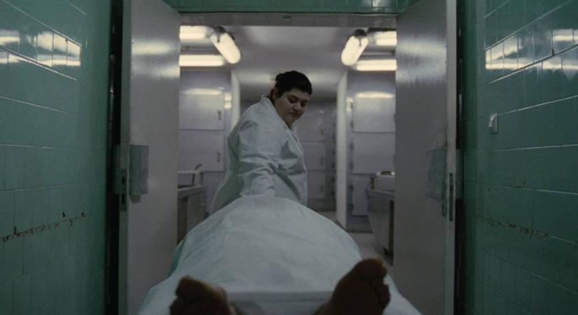 Pál Adrienn: A nyomasztó magyar kórházi légkör rátelepszik a lelkedre... (kritika)