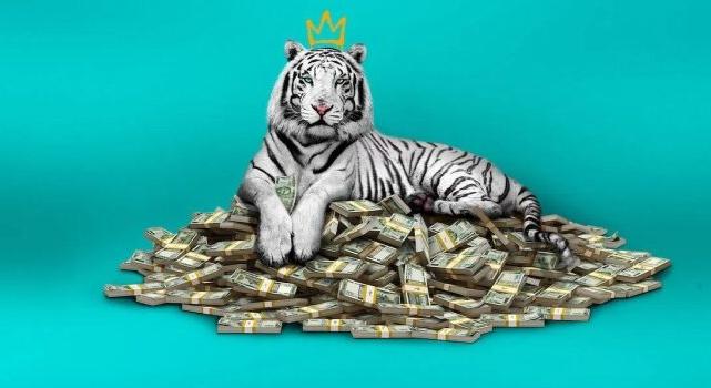 A FEHÉR TIGRIS – Nincs bűnbánat