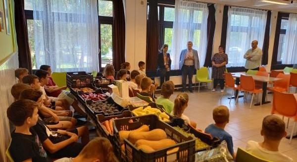 A szendvicsgyerek: Kooperatív és szociális