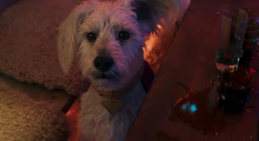 Rövid előzetest kapott a Supergirl, amiben a főhős és Krypto kapcsolatára koncentrálnak