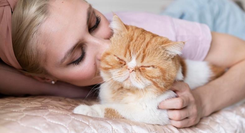 Ha így alszik melletted a macskád, teljesen megbízik benned – a macskák alvási pózainak jelentése