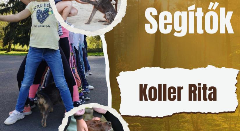 Tanulás szívvel, manccsal: az állatasszisztált pedagógia ereje