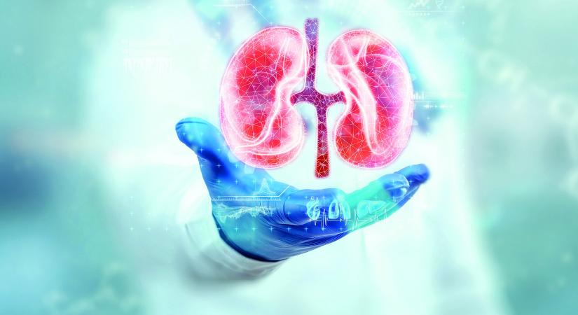 Vesetranszplantáció: univerzális donorszervek enzimterápiával